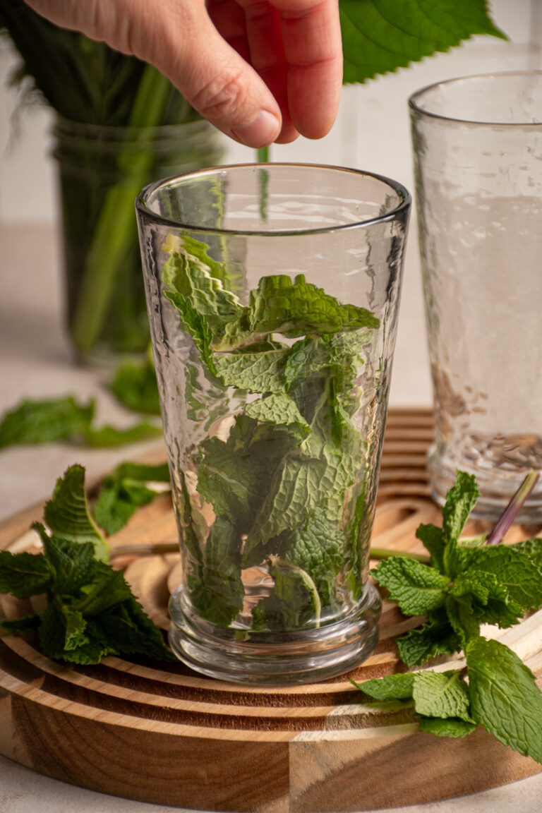 Mint Julep Mocktail - Thyme For A Drink